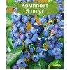 Комплект 5шт
 / Голубика Ханнас Чойс